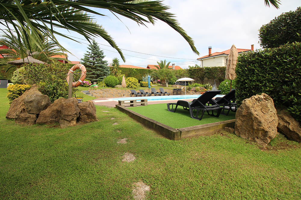 Garden detail with plants