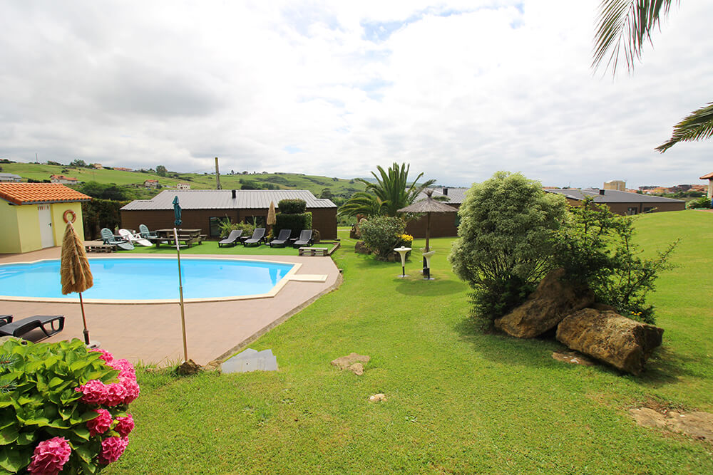 Pool with sun loungers and palm trees