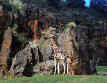 Parque de la Naturaleza de Cabárceno en Cantabria